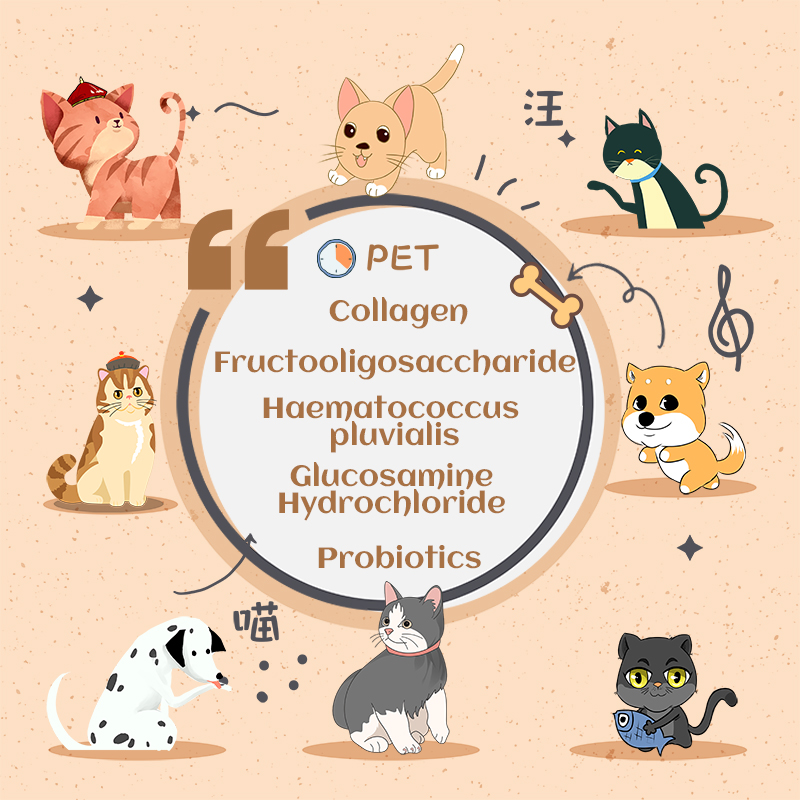 Probiotiques chat de chien de marque personnalisée pour chiot de chat pour l'amélioration des joints pour animaux de compagnie