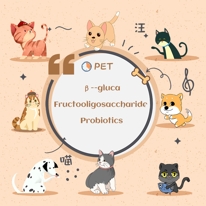Grade d'alimentation Améliorer la poudre de probiotique multiprotiostics multistitutique tumorale pour animaux de compagnie
